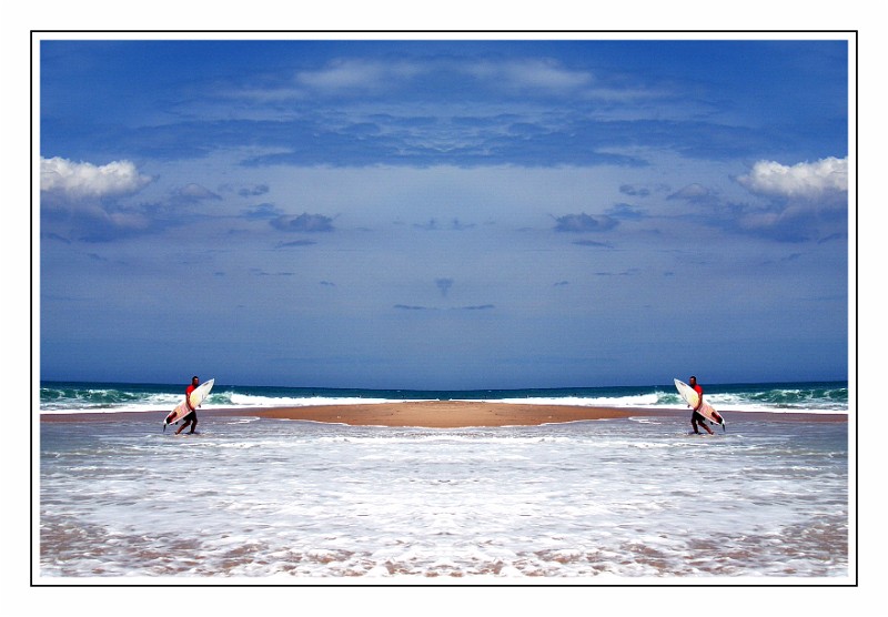 Force of Nature, Sri Lanka.jpg